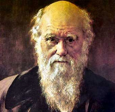 44954 darwin - كيف نشأت الأخلاق عند دارون ؟