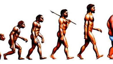evolution of man 390x220 - الرسم الدارويني