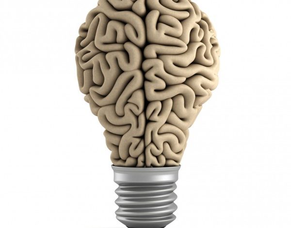 Brain Bulb1 600x600 600x470 - الحاجة للمنطق