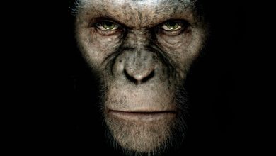 6785984 dawn of the planet of the apes 390x220 - Dawn of the Planet of the Apes
