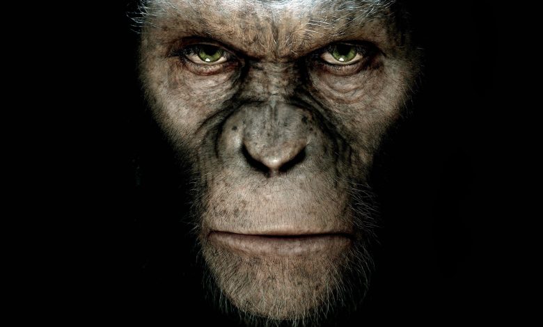 6785984 dawn of the planet of the apes 780x470 - Dawn of the Planet of the Apes