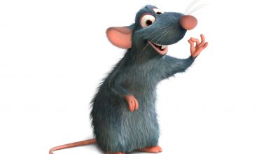 RATATOUILLE 390x220 - فيلم الكارتون الفأر الطباخ