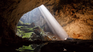 The Worlds Largest Cave 2 390x220 - "بقدر الكد تكتسب المعالي...ومن طلب العلى سهر الليالي"، أخرج من كهفك وأبحث عن النور!