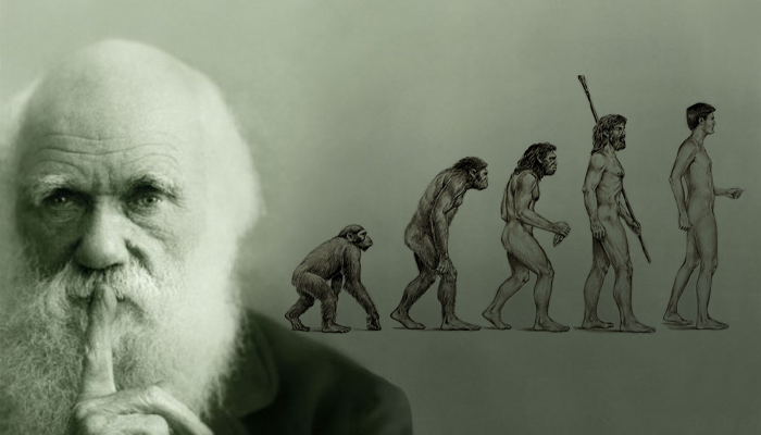 ما هي نظرية داروين