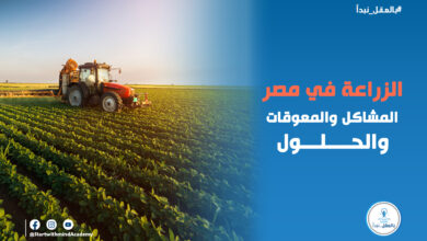الزراعة في مصر