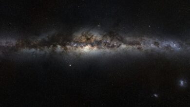 القوة الخامسة للطبيعة