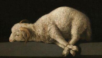 فلسفة الأضحية