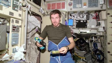 سيرجي كريكالوف