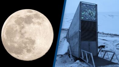 سفينة نوح القمرية