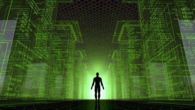 فرضية المحاكاة