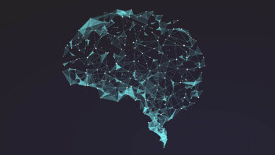 العقل كبرمجيات حاسوبية