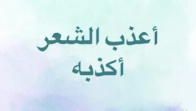 أعذب الشعر أكذبه