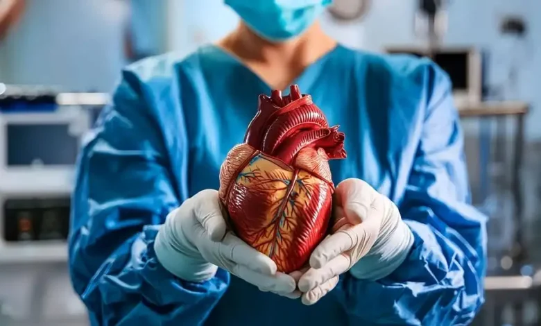 صمامات قلب طبيعية