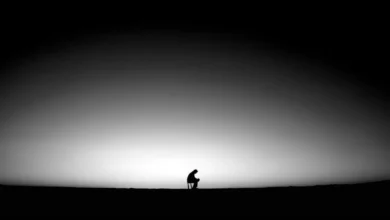 الركود النفسي