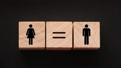 القوانين النسوية