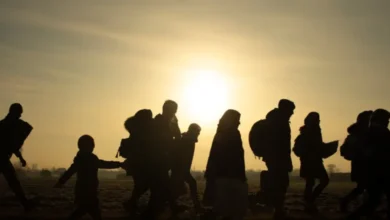 العودة الطوعية