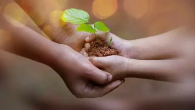 بناء الإنسان