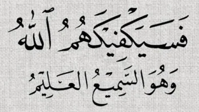 فسيكفيكهم الله