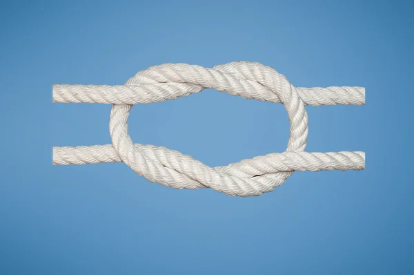 العروة الوثقى